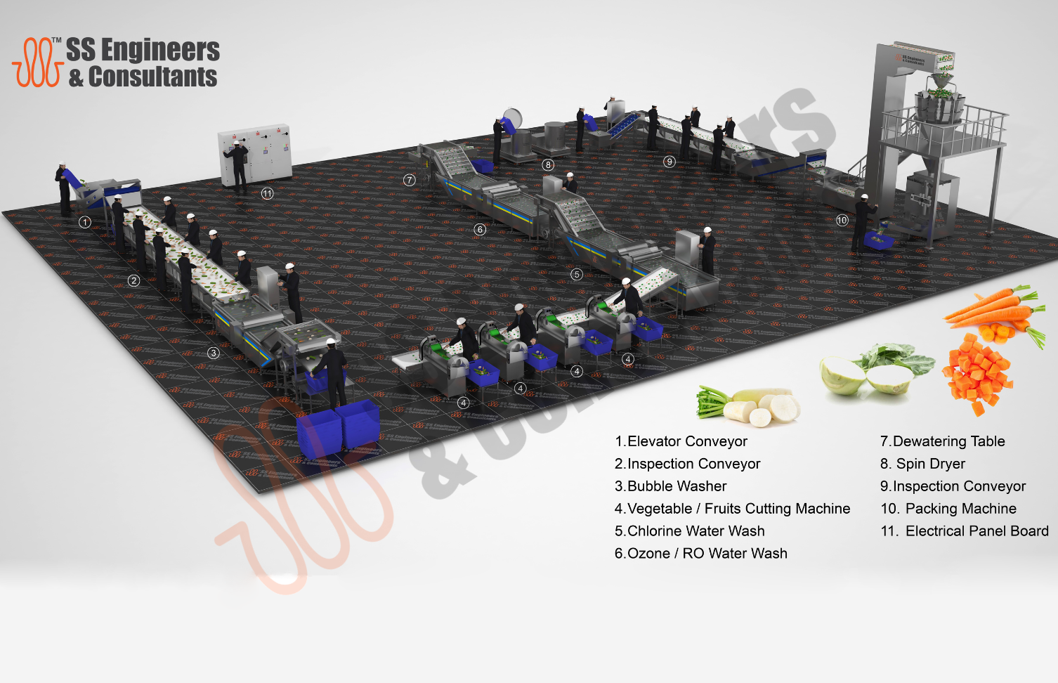 Leafy vegetables fruits processing line